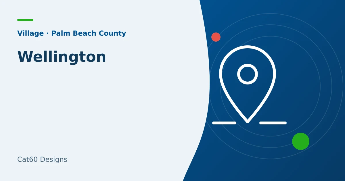 A website and local search plan for a Wellington business.